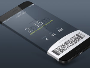 Boarding Pass Concept